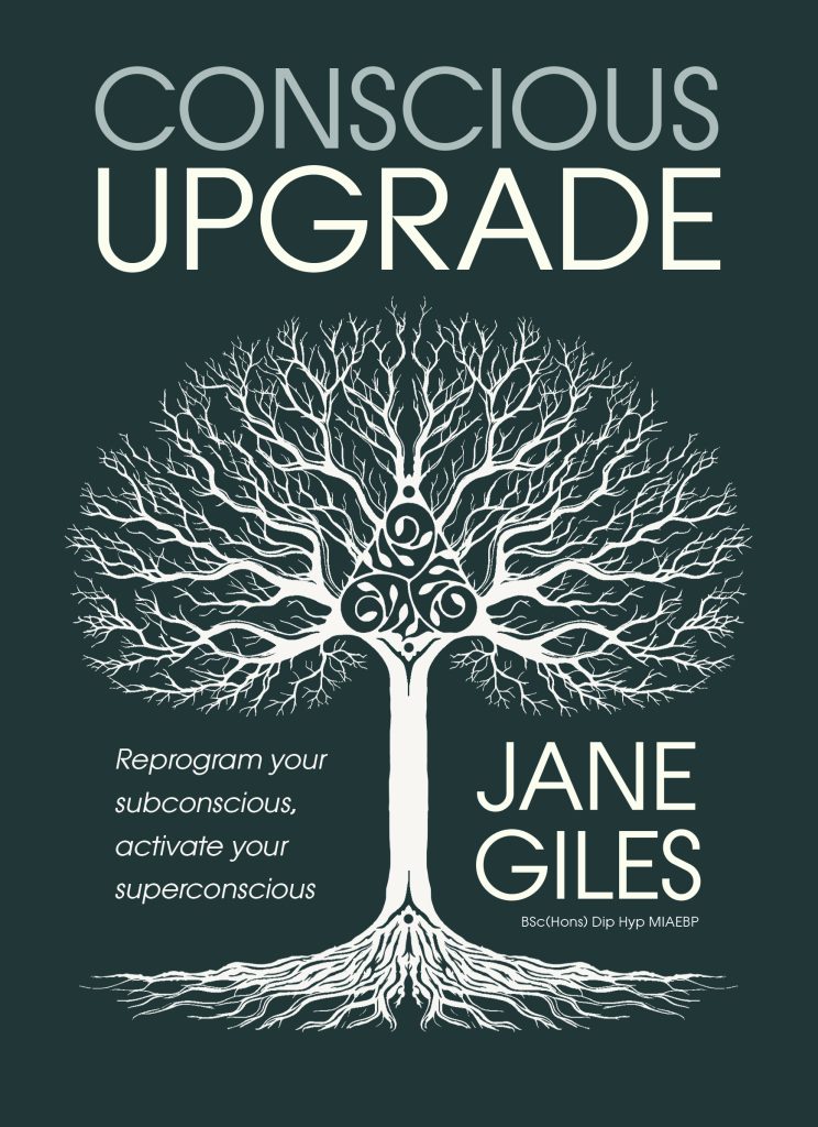 Cover of the book Conscious Upgrade by Jane Giles